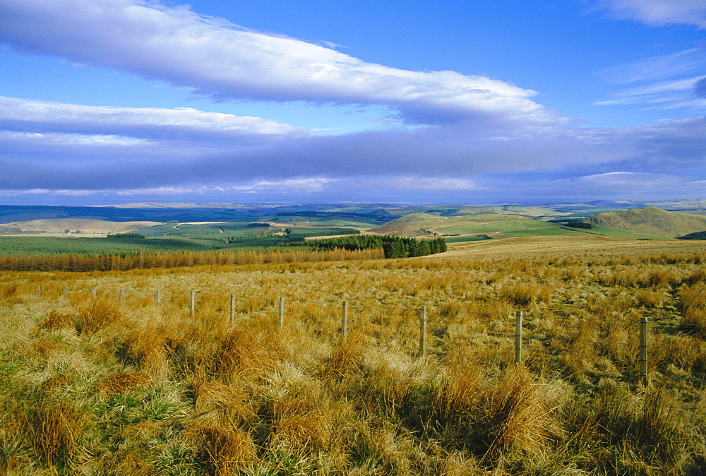 Landscape in the Scottish Borders, Scotland, UK, Europe