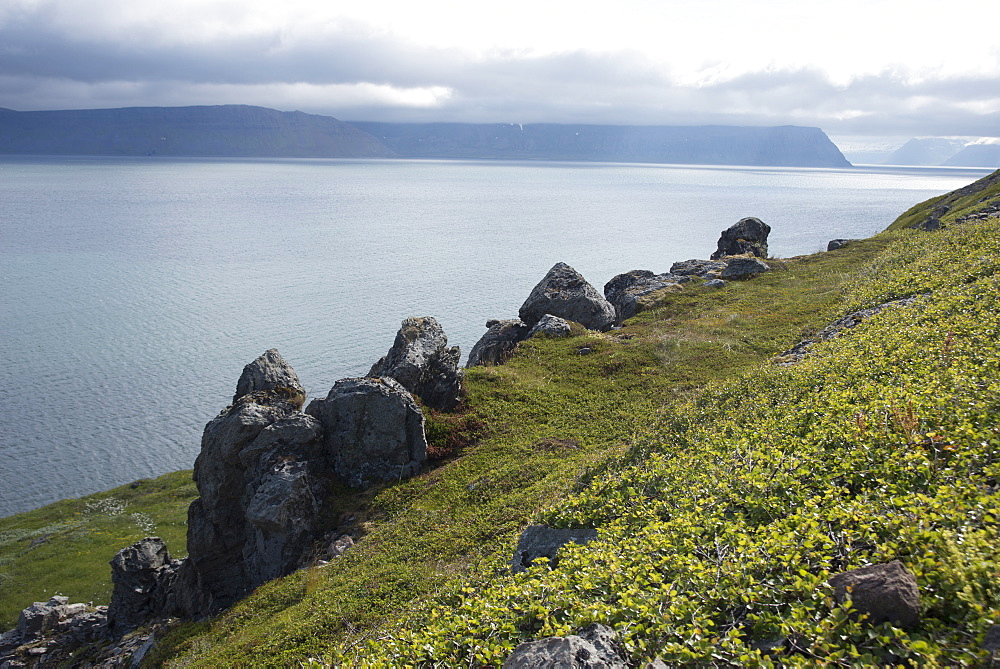 Hornstrandir, a wildly beautiful area abandoned by permanent inhabitants in the 1950s, West Fjords, Iceland, Polar Regions