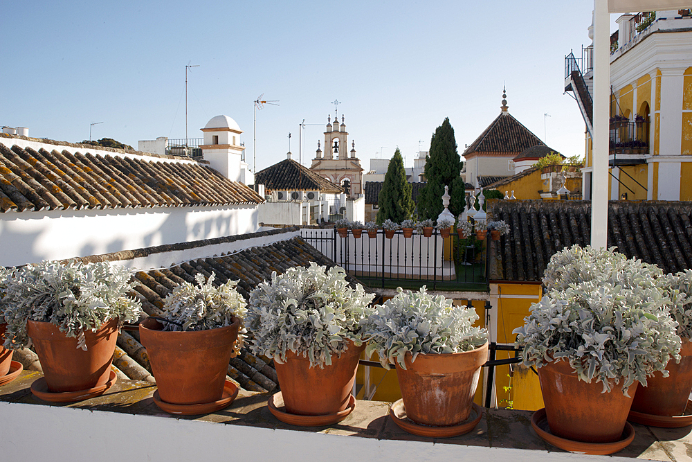 Hotel Las Casas de la Juderia, Seville, Andalusia, Spain, Europe