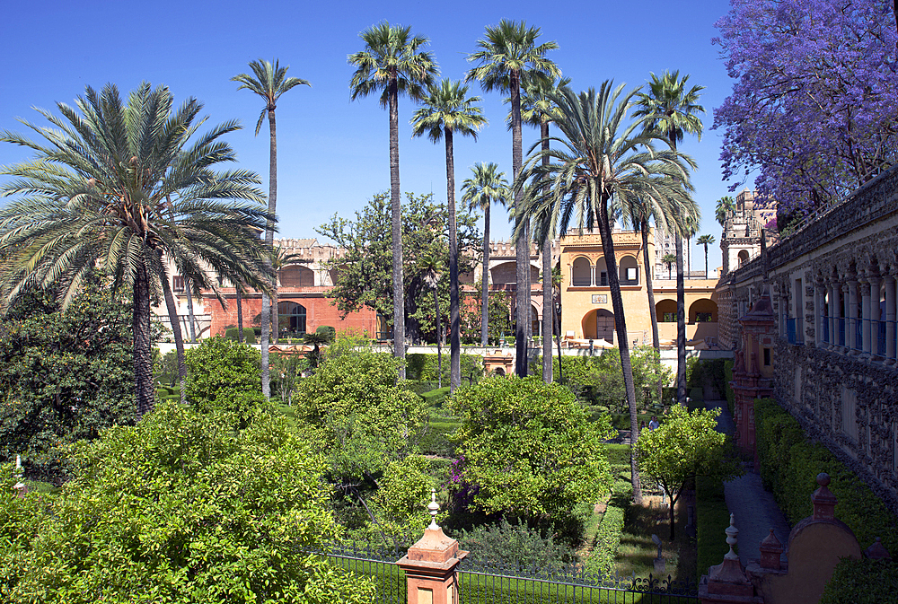 Gardens of the Alcazar, UNESCO World Heritage Site, Seville, Andalusia, Spain, Europe