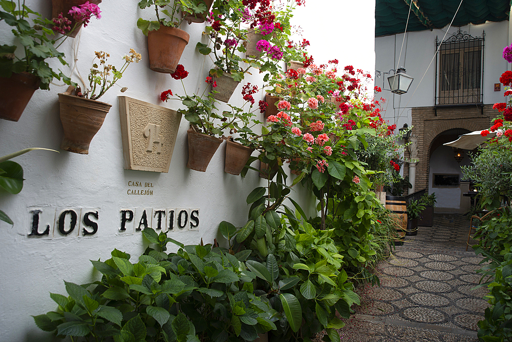 Los Patios, Cordoba, Andalusia, Spain, Europe