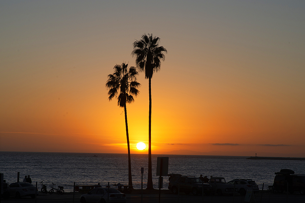 Sunset over the ocean and two palm trees in silhouettte, Dana Point, California, United States of America, North America