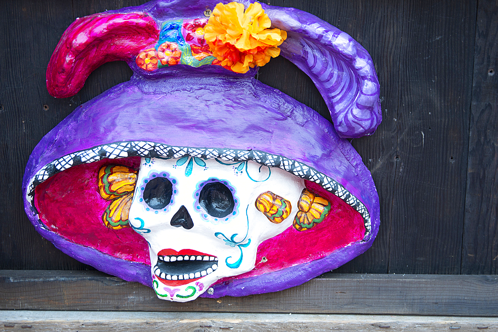 Day of the Dead, San Diego, California, United States of America, North America