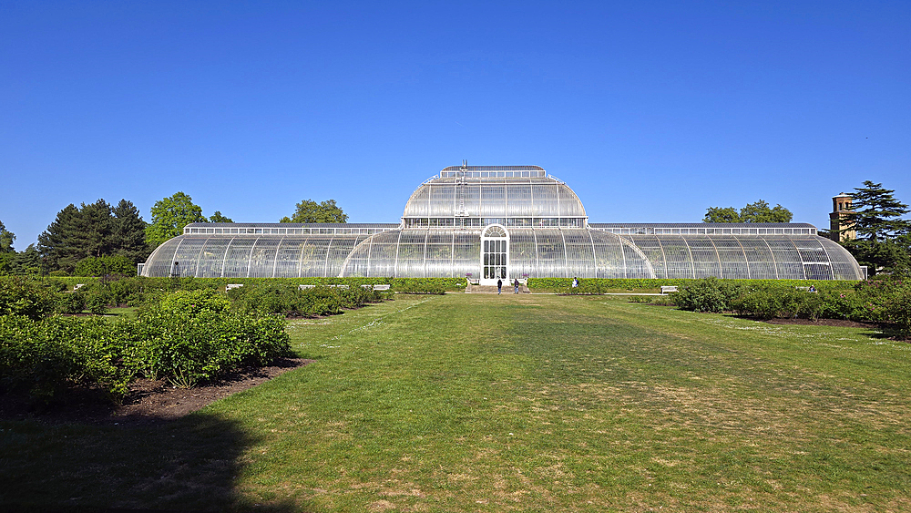 Palm House, Kew Gardens
