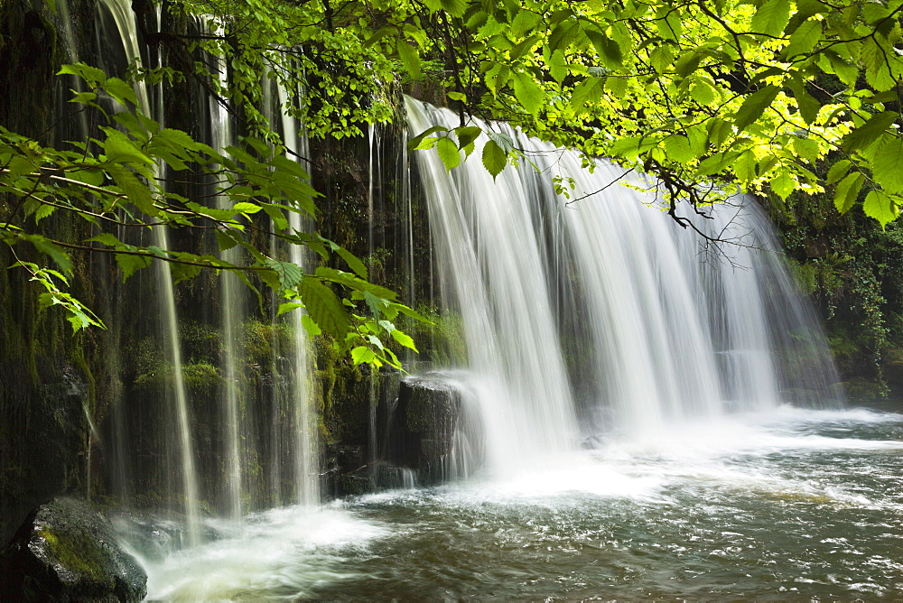 Sqwd Ddwli Waterfall, Brecon Beacons, Wales, United Kingdom, Europe