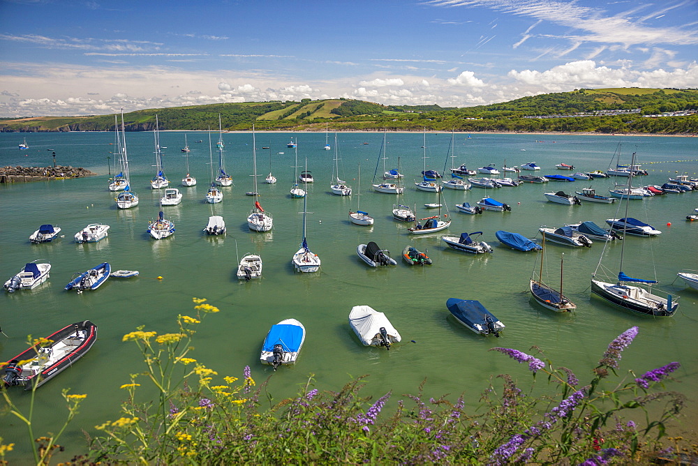 New Quay, Ceredigion, Dyfed, West Wales, Wales, United Kingdom, Europe