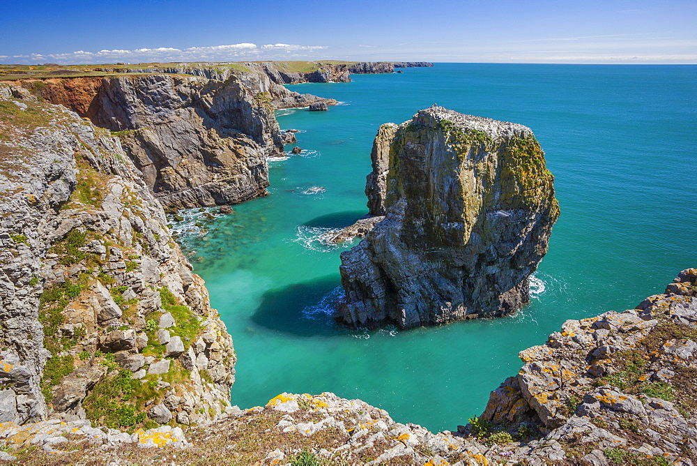 Stack Rocks, Castlemartin, Pembrokeshire Coast, Wales, United Kingdom, Europe 