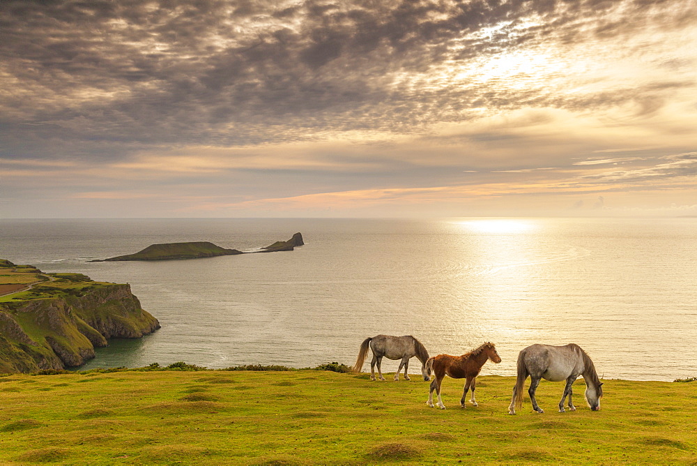 Rhossili Bay, Gower, Wales, United Kingdom, Europe