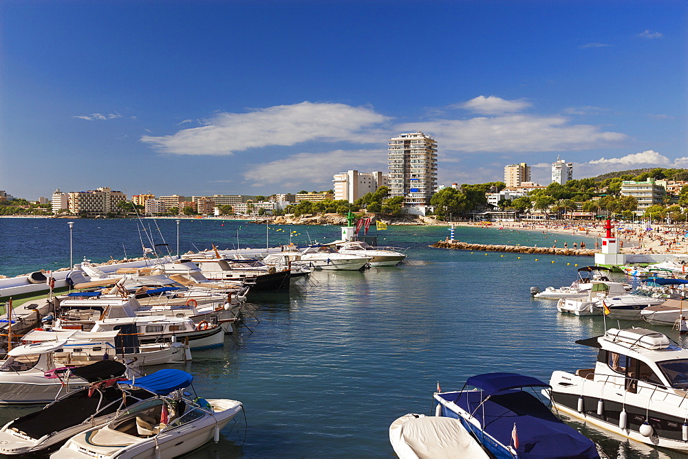 Palma Nova Marina, Mallorca, Balearic Islands, Spain, Mediterranean, Europe