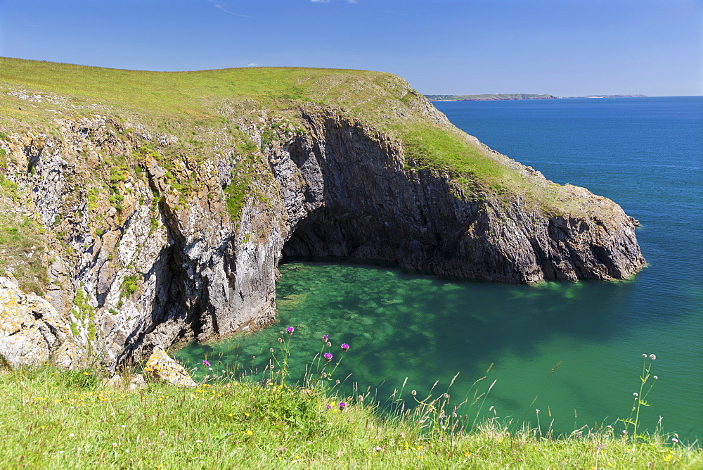 Barafundle Bay, Pembrokeshire Coast, Pembrokeshire, Wales, United Kingdom, Europe