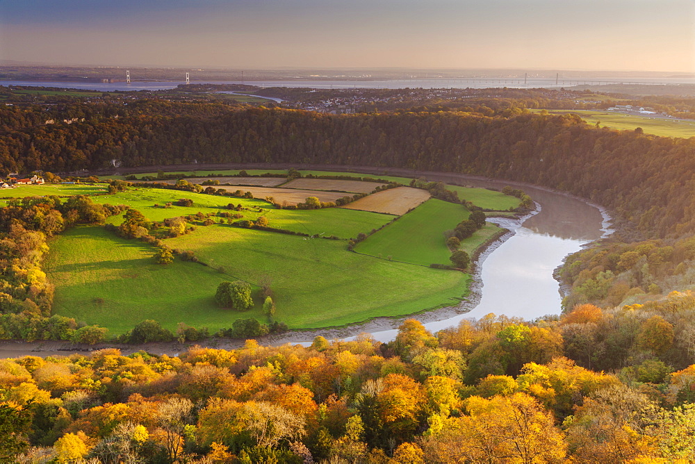 Upper Wyndcliff, River Wye and Severn Estuary, Wye Valley, Monmouthshire, Wales, United Kingdom, Europe