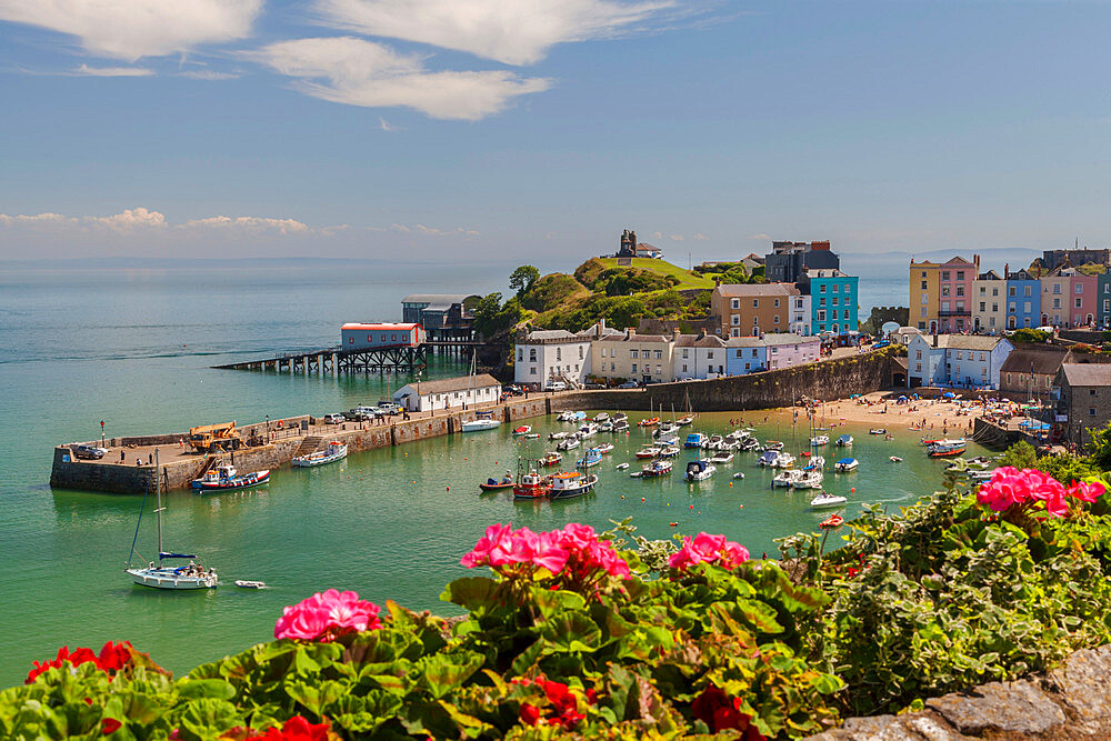 Tenby Harbour, Pembrokeshire, Wales, United Kingdom, Europe