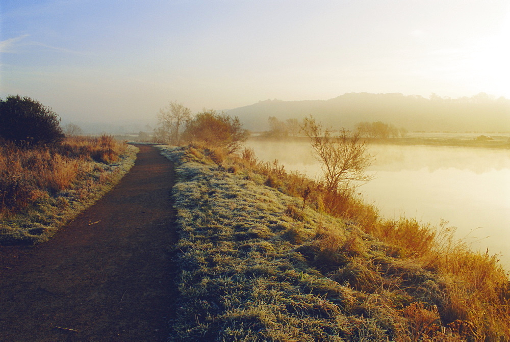 Frosty river bank, River Trent, Attenborough, Nottinghamshire, England, UK 