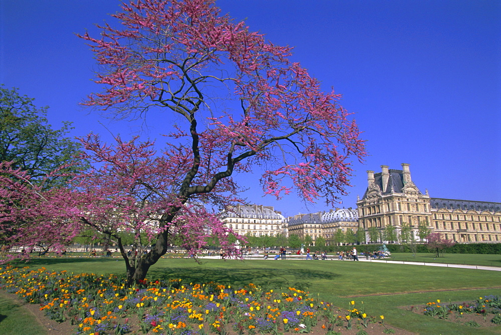 Jardin des Tuileries and Musee du Louvre, Paris, France, Europe