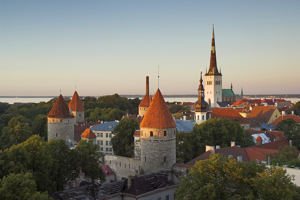 Medieval town walls and spire of St. Olavs church at dusk, Tallinn, Estonia, Baltic States, Europe