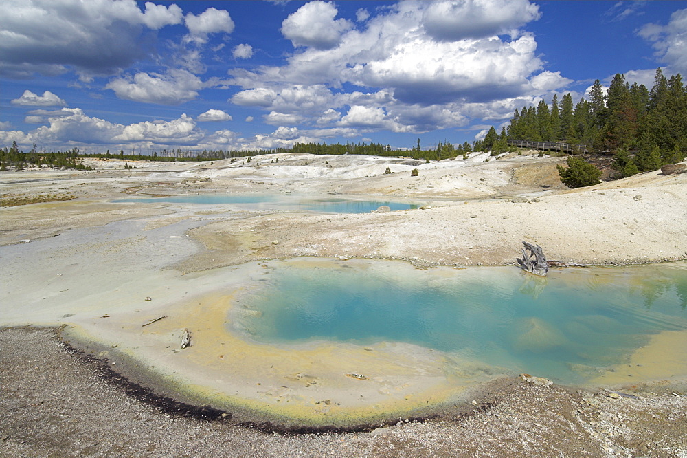 Porcelain Basin, Norris Geyser Basin, Yellowstone National Park, UNESCO World Heritage Site, Wyoming, United States of America, North America