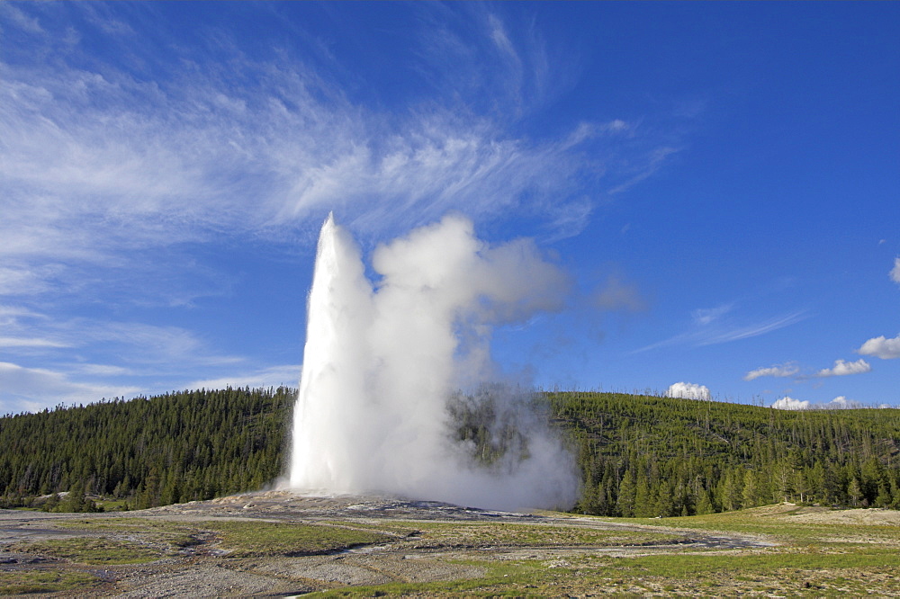 Old Faithful geyser erupting, Upper Geyser Basin, Yellowstone National Park, UNESCO World Heritage Site, Wyoming, United States of America, North America