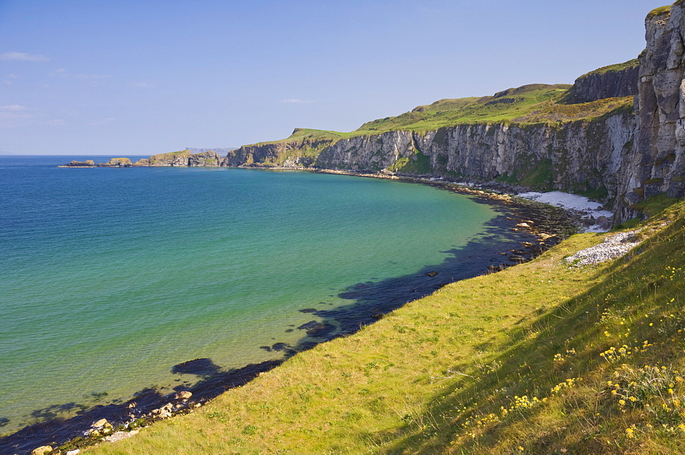 Carrick Island in Larrybane Bay, with a limestone headland, on the North Antrim Causeway Coast Way, County Antrim, Ulster, Northern Ireland, United Kingdom, Europe