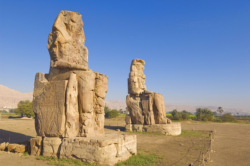 Two giant statues known as the Colossi of Memnon carved to represent the pharaoh Amenhotep III of the dynasty XVIII, West bank of the River Nile, Thebes, UNESCO World Heritage Site, Egypt, North Africa, Africa