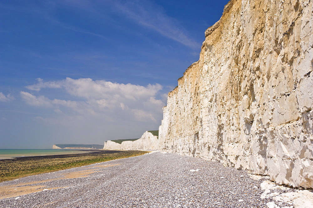 The Seven Sisters cliffs, Birling Gap, South Downs National Park, East Sussex, England, United Kingdom, Europe