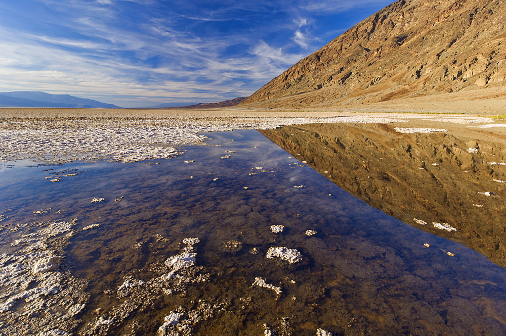 A permanent springfed pool near the salt pans at Badwater Basin, 282ft below sea level and the lowest place in North America, Death Valley National Park, California, United States of America, North America