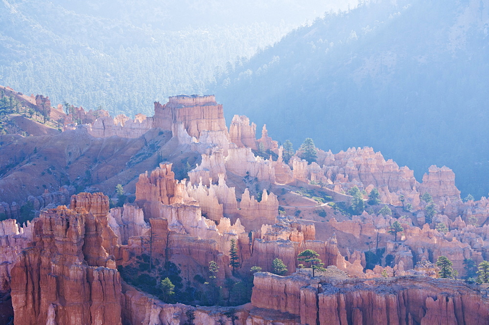 Backlit sandstone hoodoos in Bryce Amphitheater, Bryce Canyon National Park, Utah, United States of America, North America