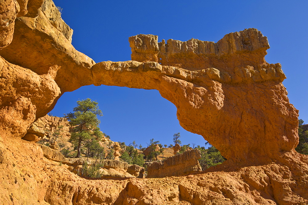 Sandstone arch of Claron formation, Pink Ledges Trail, Red Canyon, Utah, United States of America, North America