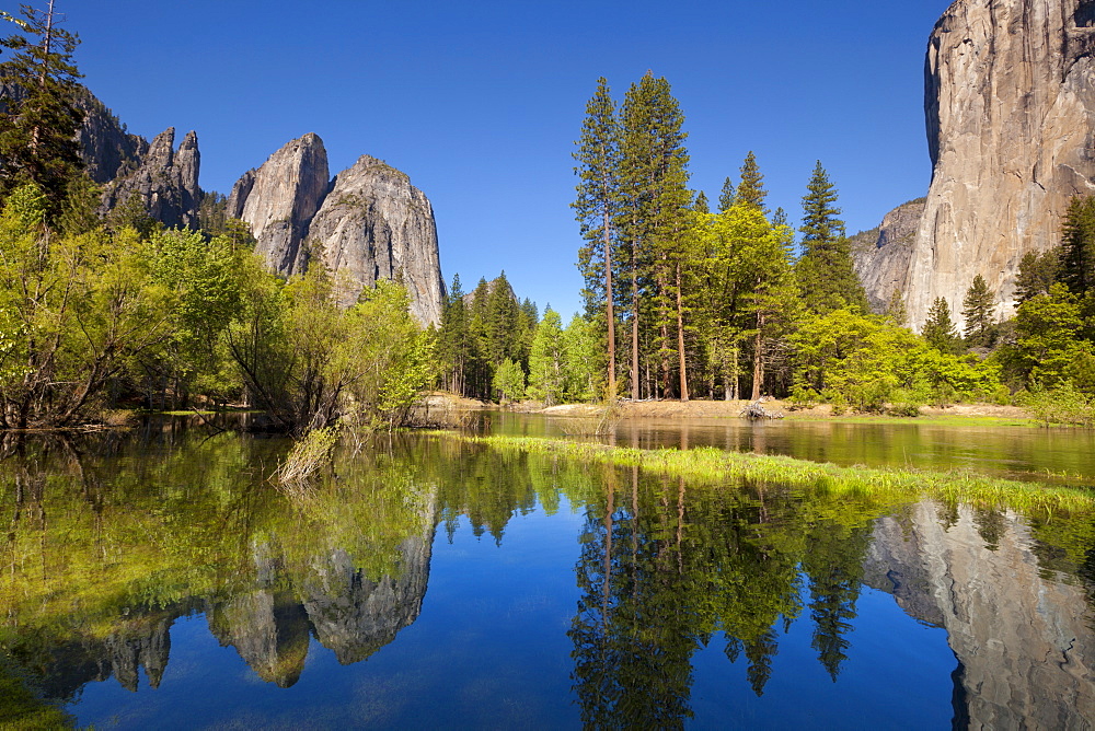 El Capitan, a 3000 feet granite monolith on the right, Cathedral Rocks and Cathedral Spires on the left, with the Merced River flowing through flooded meadows of Yosemite Valley, Yosemite National Park, UNESCO World Heritage Site, Sierra Nevada, California, United States of America, North America