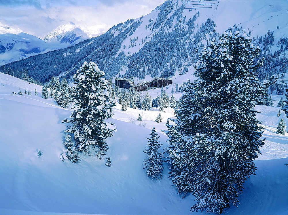 France, Alps, Haute-Savoie, Avoriaz In Winter, Overview From A Pines Forest