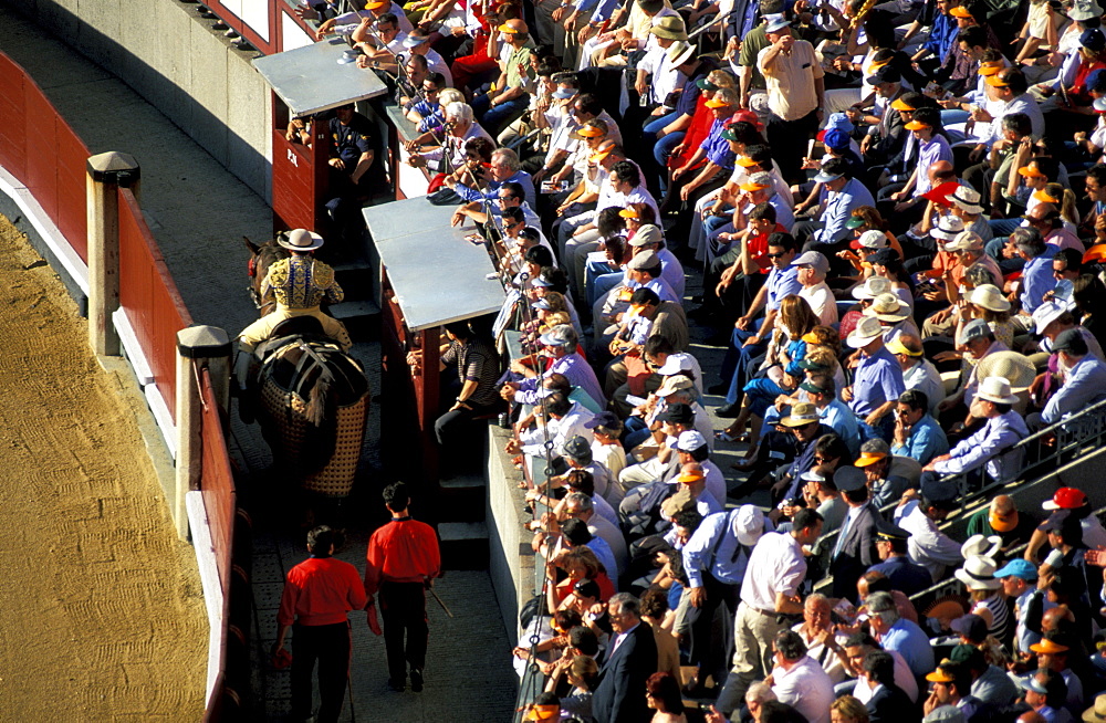 Spain, Madrid, Plaza De Toros, Six Toros Corrida With Matador Julian Lopez El Juli Hold On May 27th 2003 (San Isdro Feria)