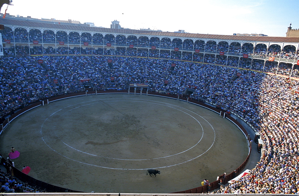 Spain, Madrid, Plaza De Toros, Six Toros Corrida With Matador Julian Lopez El Juli Hold On May 27th 2003 (San Isdro Feria)