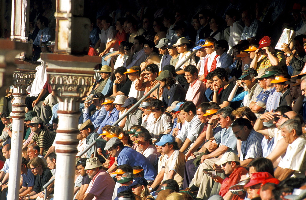 Spain, Madrid, Plaza De Toros, Six Toros Corrida With Matador Julian Lopez El Juli Hold On May 27th 2003 (San Isdro Feria)