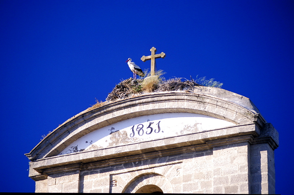 Spain, Andaloucia, Cadiz Bay, Puerto De Santa Maria, Storch On Top Of A Church Belfry