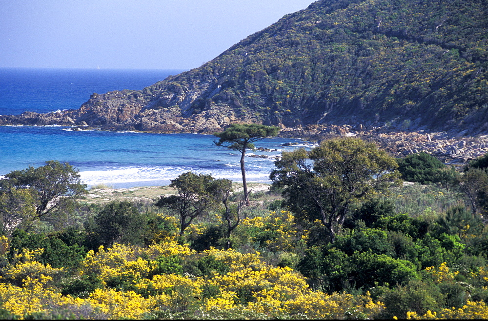 France, Corsica Island, Corse-Du-Sud, East Coast, Pinarellu Gulf & Genovese Tower