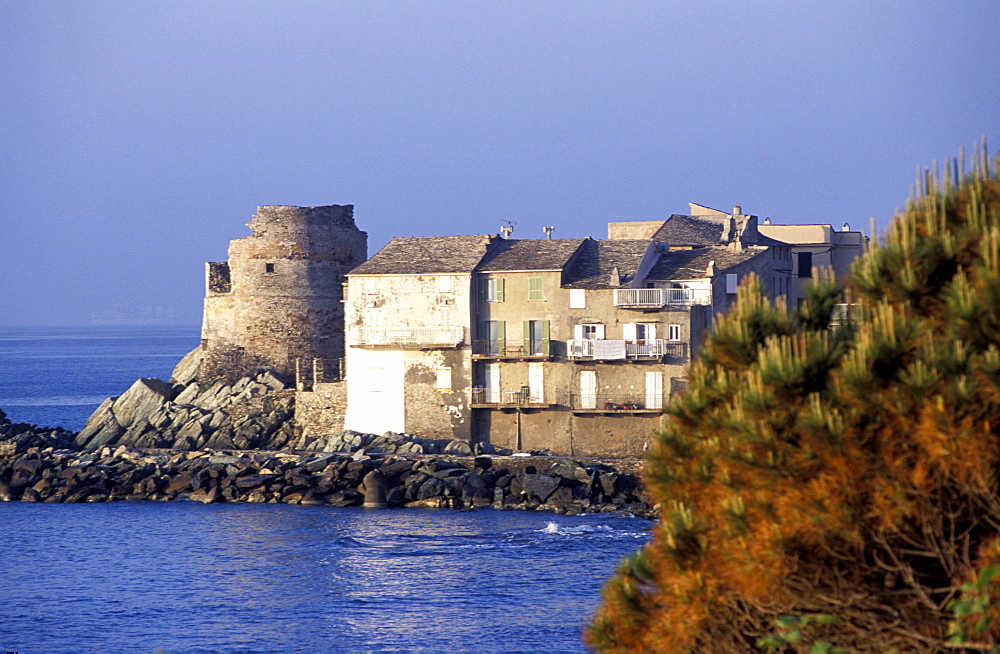 France, Corsica Island, Haute-Corse, Cap Corse, Village Of Erbalunga