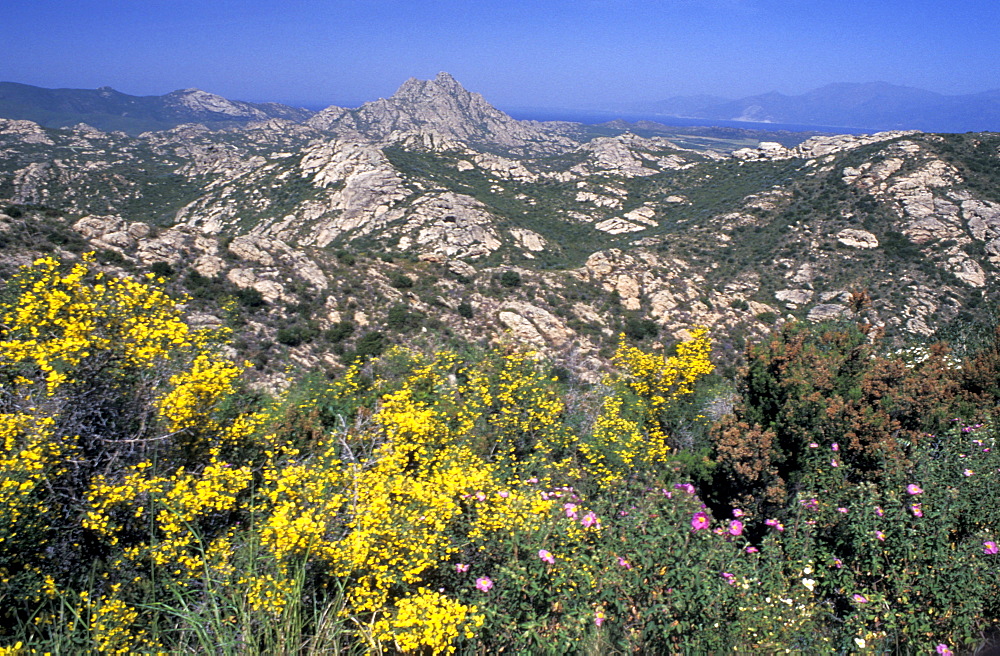 France, Corsica Island, Haute-Corse, Agriates Desert