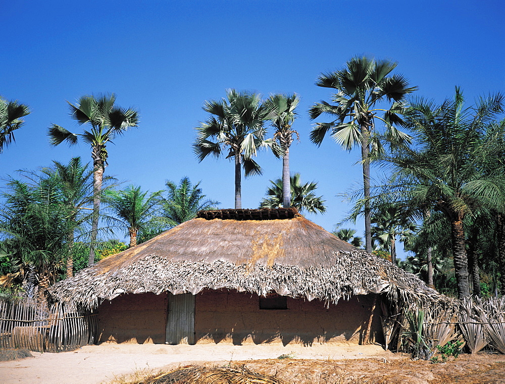 Senegal, Casamance, Typical Diolla Hut