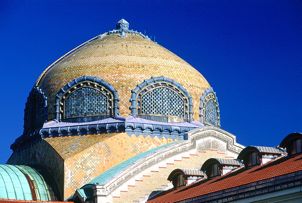 France, Centre, Allier (03), Vichy, Thermal Center, The Ceramic Dome