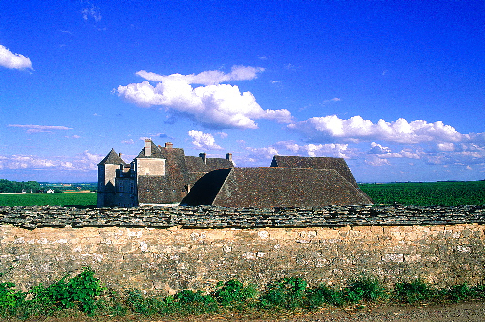 France, Burgondy, Cote D'0r (21), Cote De Nuits Vineyards, Closvougeot Castle And Vineyards