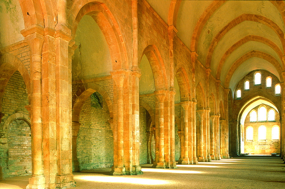 France, Burgondy, Yonne (89), Fontenay, The Cistercian Abbey, The Church Nave