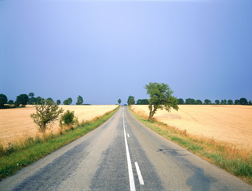 France, Midipyrenees, Aveyron (12), Roquefort Region, Country Road Between Two Wheat Fields In Summer