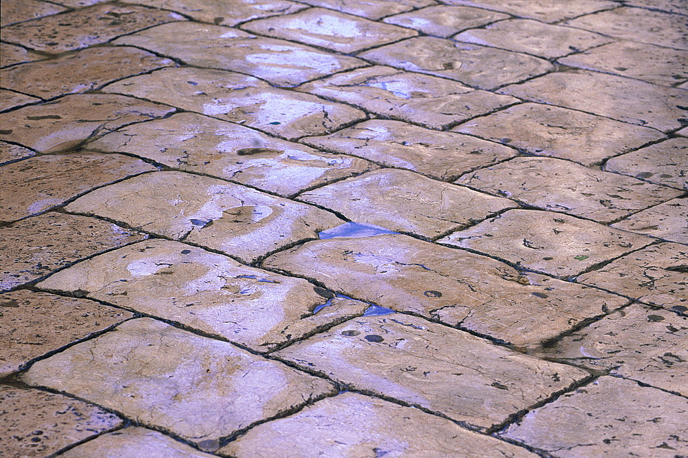 Croatia, Dalmatia, Dalmatian Coast, Fortified City Of Dubrovnik, Wet Pavement On The Main Street (Stradun)