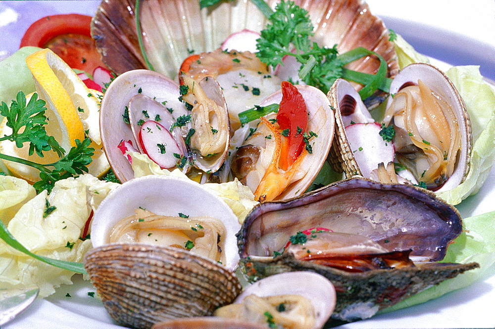 Croatia, Dalmatia, Dalmatian Coast, Fortified City Of Dubrovnik, Local Seafood Plate