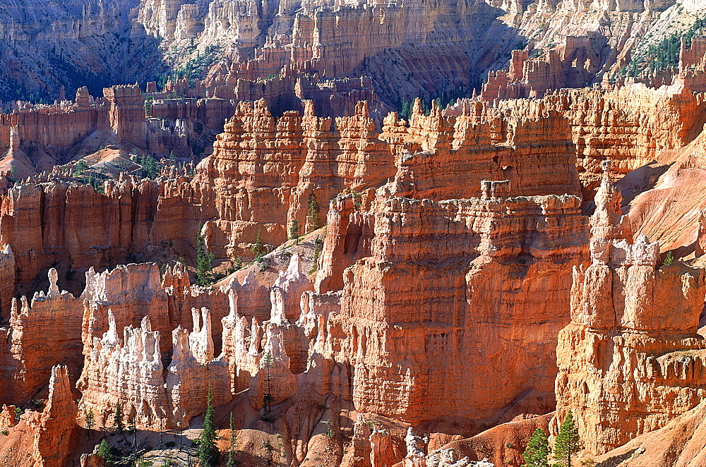 Usa, South West, Utah, Bryce Canyon National Park In Summer, Landscape At Sunrise