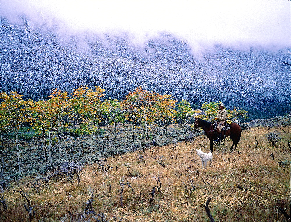 Usa, South West, Wyoming, Big Horn Mountains At End Of Fall, Cowboy And Dog After The First Snow