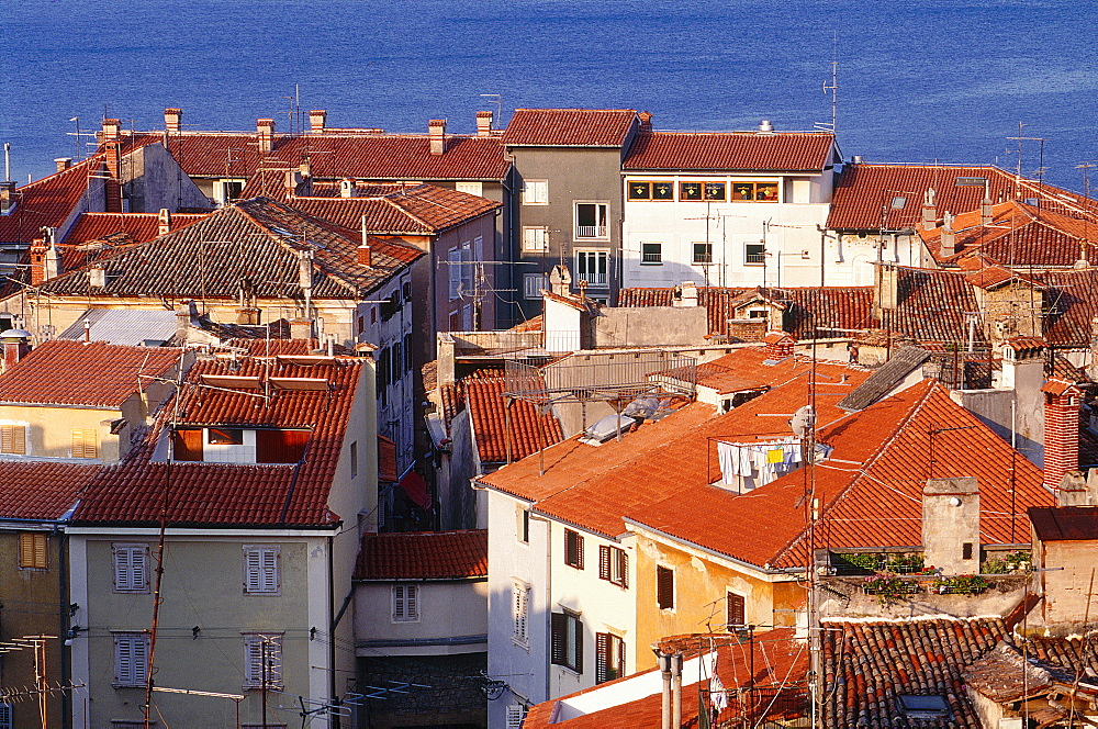 Slovenia, Adriatic Coast, Piran, Overview Of Tiled Roofs, Sea At Back