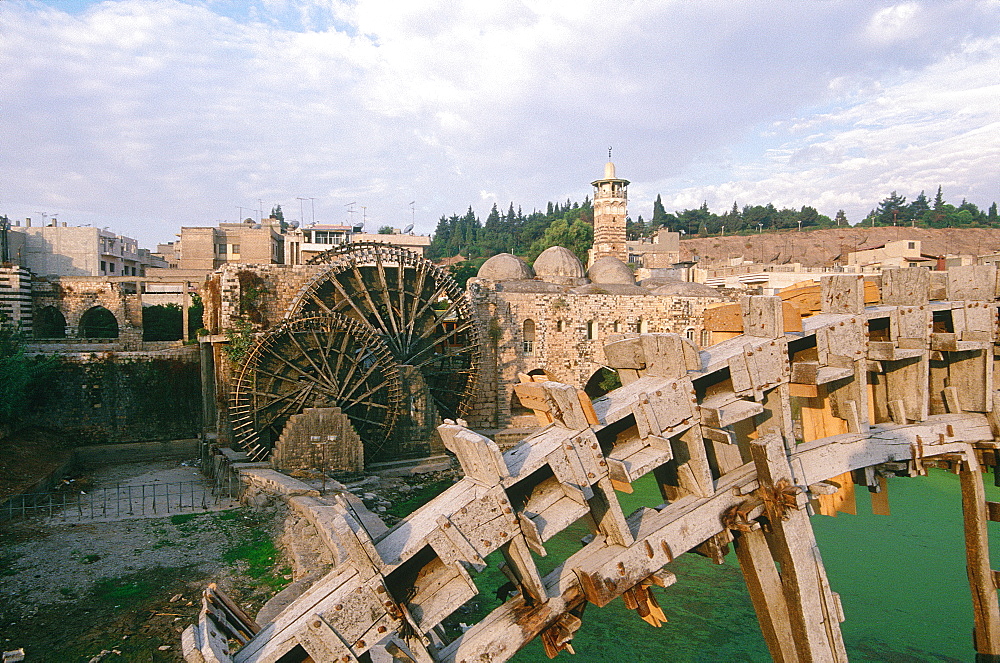 Syria, Orontes Valley, City Of Hama, River Orontes And Norias (Huge Ancient Wooden Wheels Elevating The Water For Irrigation)