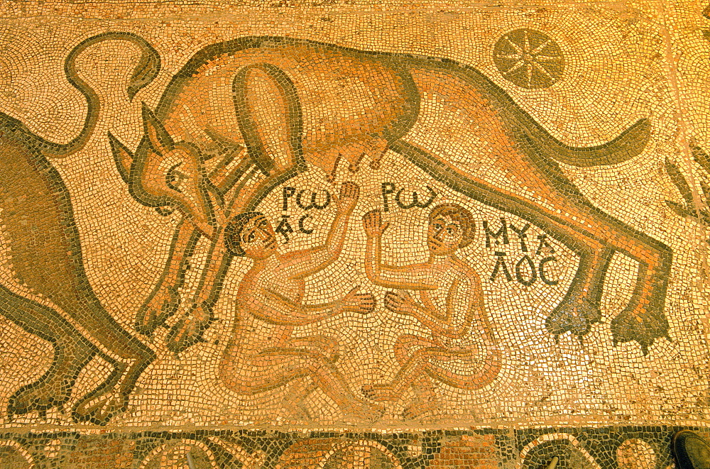 Syria, Orontes Valley, Apamea, The Museum Established In A Turkish Khan (Caravanserai), A Roman Mosaic Representing Romulus And Remus Fed By The Roman Wolf And Found In The Apamea Cardo Ruins