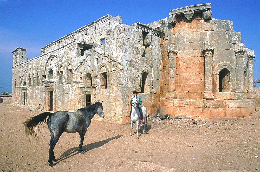 Syria, Limestone Region, Dead Village Of Qalb Loze, First Christian Basilica Built In Byzantine Syria In V Th Cent, Druze Rider And Horse