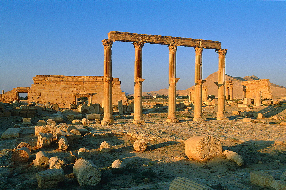 Syria, Palmyra Oasis, The Roman City Ruins, Remnants Of The 1200m Colonnade Edging The Cardo (Main Road In The Roman Cities Center),  Location Of The Baths